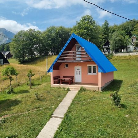 Bungalow In Mountain 2 Žabljak 外观 照片