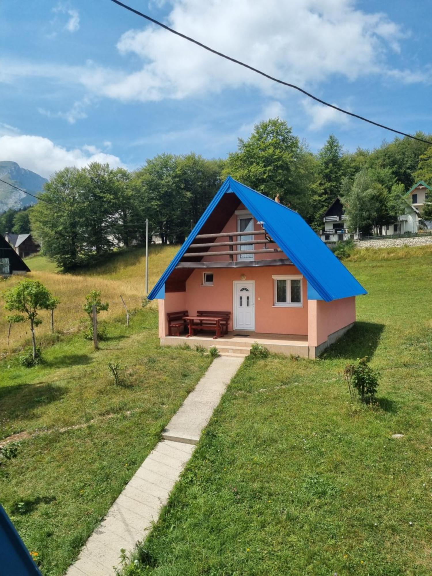 Bungalow In Mountain 2 Žabljak 外观 照片